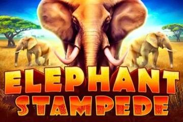 Elephant Stampede