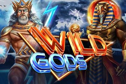 Wild Gods