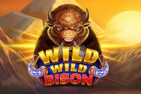 Wild Wild Bison