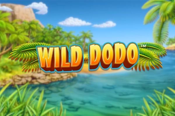 Wild Dodo