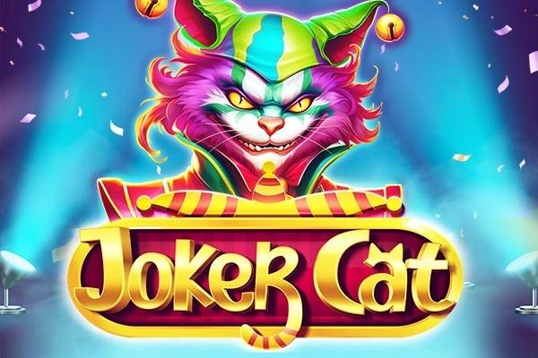 Joker Cat